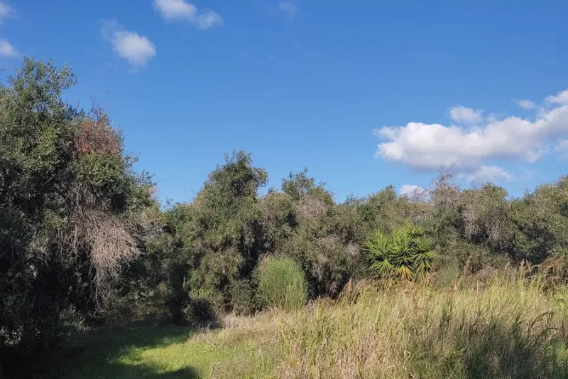 Οικόπεδο 4000τ.μ. - Μελιτειέοι Κέρκυρα