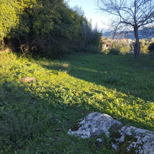 Οικόπεδο, 4000τ.μ. Αχίλλειο, Κέρκυρα