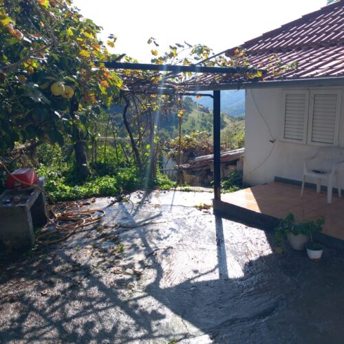 Μονοκατοικία, 55τ.μ. Καλλιθέα